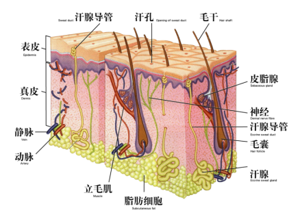 QQ截图20160923165748.png