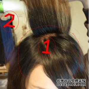 将头发分为上下两个区域