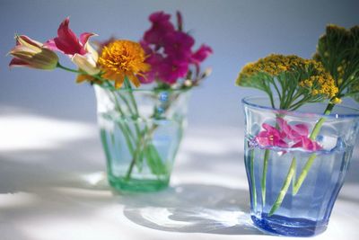  花茶轻松改善女性内分泌 