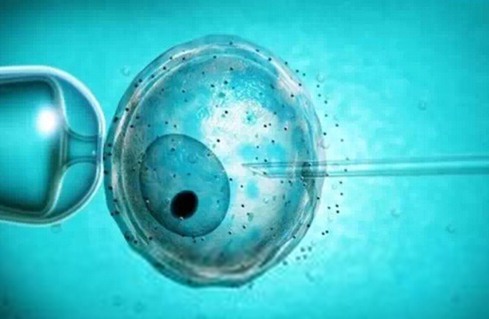 人工受精与试管婴儿的区别有哪些呢？做试管婴儿需要多少钱