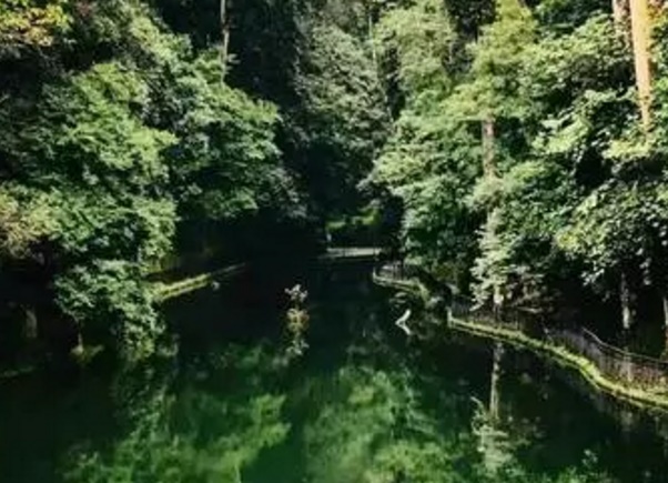 蓝瘦！香菇！那是因为你没有来过大围山！大围山旅游资源概况