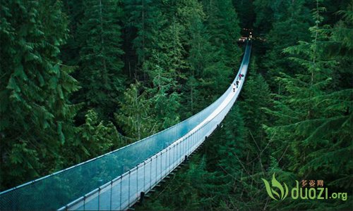 加拿大不列颠哥伦比亚省温哥华的卡普兰奴吊桥