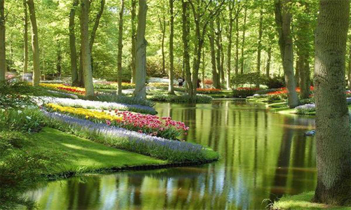 荷兰的库肯霍夫花园