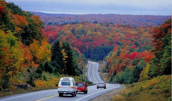 加拿大野趣 体验多彩的动感之秋