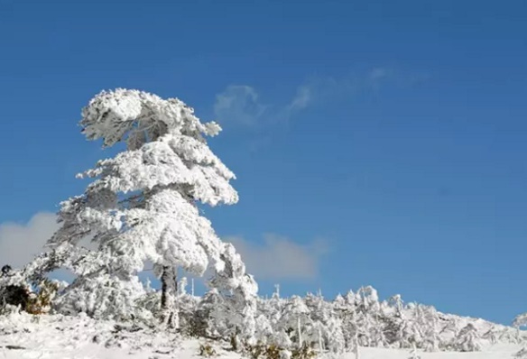 云南雪山还有那么多 你最想去哪一个？