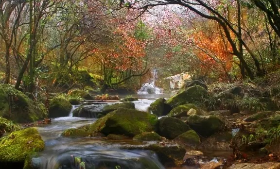 安福武功山水韵  武功山十大奇观