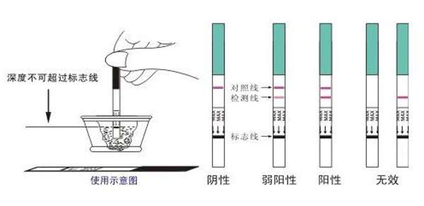 达人告诉你早孕试纸怎么用 1分钟就学会（图解）